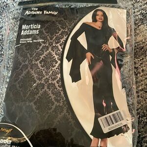 Adult Large Morticia Addams from The Adams Family Dress & Wig Halloween Costume